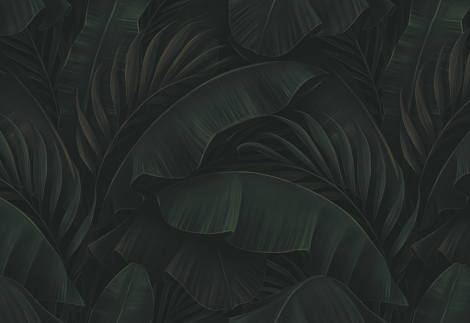 Abstract white background with subtle texture.