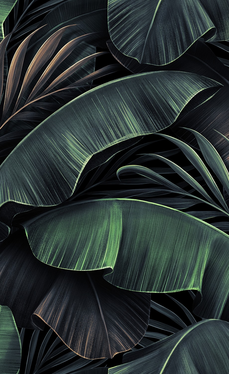 Featured image 0